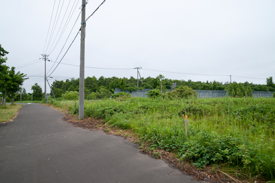 2010年7月上旬の状況