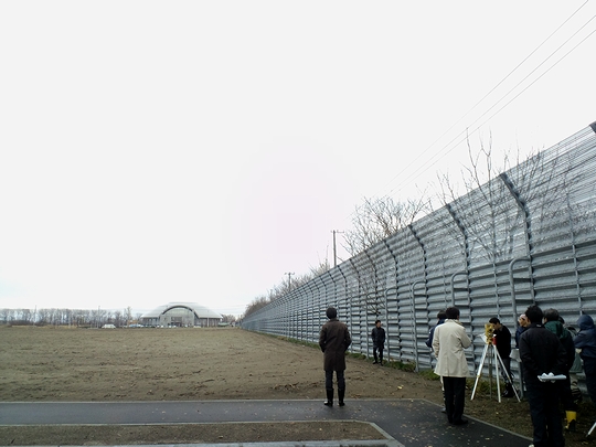 2011年11月上旬の様子